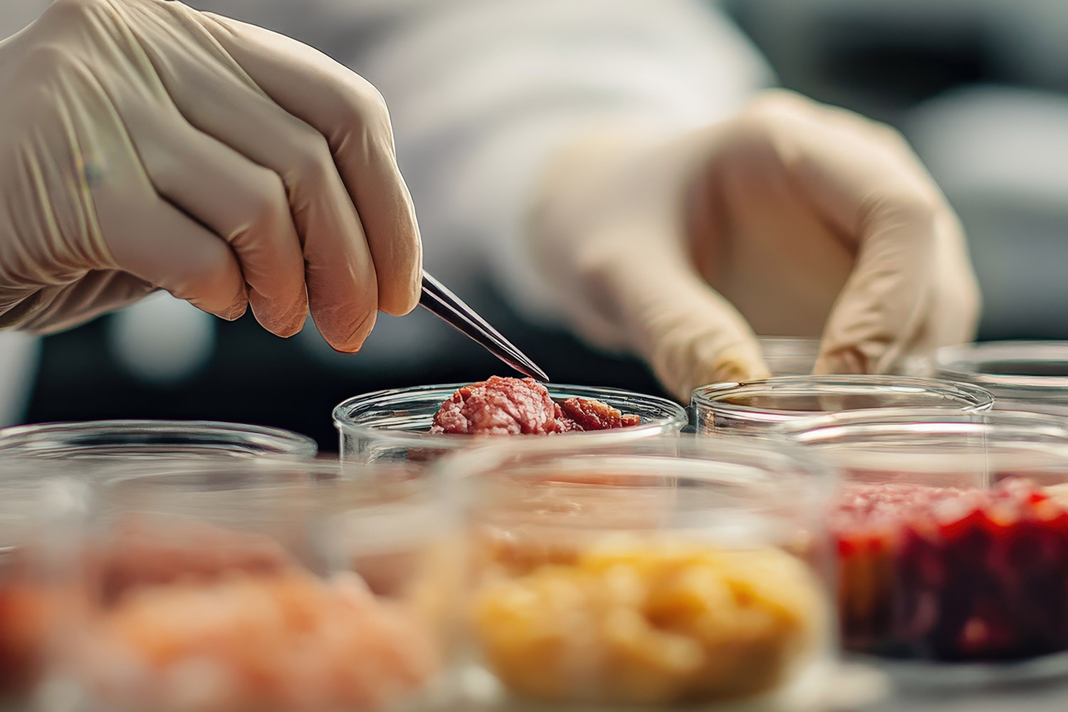 Gıda ve İlaç Kimyasalları Gıda ve İlaç Kimyasalları